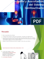 Percusión y Auscultación Del Sistema Genitourinario