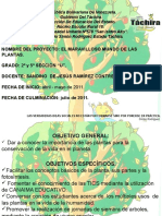  Proyecto de Aprendizaje 2º y 5º Grado El Maravilloso Mundo de Las Plantas