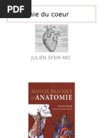 Anatomie Du Coeur