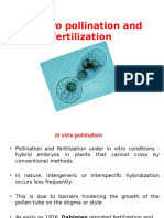 Invitro Pollination and Fertilization