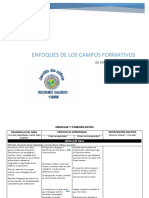 Enfoques de Los Campos Formativos