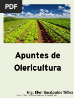 Apuntes de Olericultura