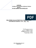 Relatório 1 - Reações Dos Cátions Do Grupo I - Chumbo, Mercúrio e Prata