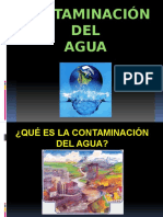 Contaminacion Del Agua