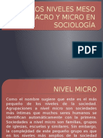 Los Niveles Meso Macro y Micro en Sociología