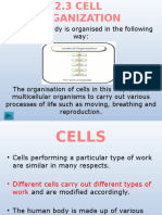 The Human Body Is Organised in The Following Way