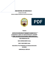 Tesis Ciencias Sociales PDF