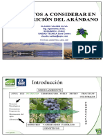 Aspectos A Considerar en La Nutrición Del Arandano PDF