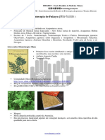 Moxaterpiajaponesa Oyku PDF