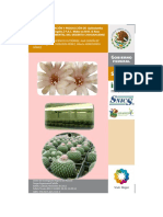 Micropropagación y Producción de Epithelantha