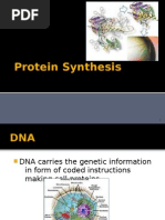 Protein Synthesis