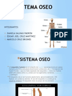 Sistema Oseo. BLOQUE 6, BIOLOGIA 2