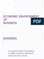 Economic Environment of