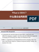 1.7 What+is+ERM？+什么是企业风险管理