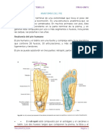 Anatomia Del Pie y Tobillo