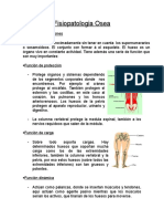 Fisiopatologia Osea