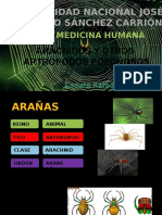 Aracnidos y Otros Artrópodos Ponzoñosos Azr