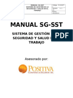 Manual SG-SST Lavaplus