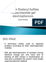 Sodium Dodecyl Sulfate Polyacrylamide Gel Electrophoresis II