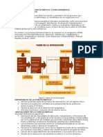 Toxicocinética Conceptos Pasos Caract