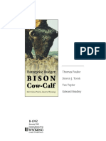 Bison Budget PDF