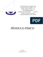 Relatório 11 - Pêndulo Físico