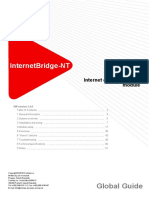 InternetBridge-NT 2.4.0 Global Guide PDF