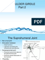 Anatomi Dan Kinesiologi Shoulder Part 2