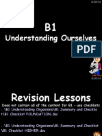 b1 Revision