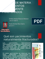 Yacimientos Naturalmente Fracturados