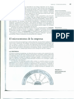 Microentorno de La Empresa PDF