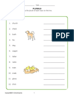 Plurals: Write The Plural of Each Noun On The Line