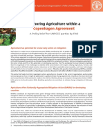 Anchoring Agriculture Within A Copenhagen Agreement