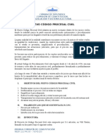 Resumen Nuevo Código Procesal Civil Boliviano 