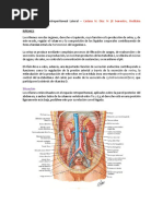 Contenido Región Retroperitoneal Lateral CMDM