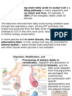 Fatty Acid Metabolism