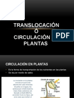 TRANSLOCACIÓN