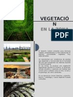 Vegetación en La Arquitectura