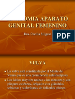 Anatomia Aparato Genital Femenino PDF