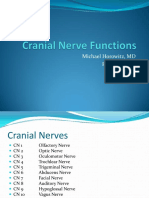 Cranial Nerve 