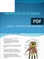 Musculos de La Mano