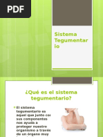 Sistema Tegumentario