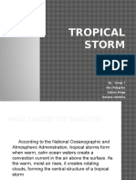 Tropical Storm