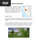 Region San Martin