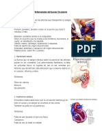 Enfermedades Sistema Circulatorio