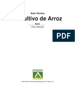 Arroz PDF