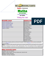 Mutha: Xiang Tou Cao