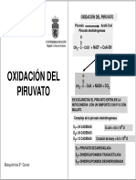 Oxidación Del Piruvato