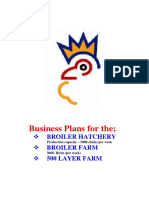 Business Plan Hachery