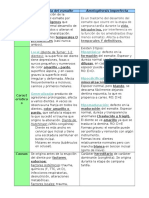 Hipoplasia Del Esmalte Vs Fluorosis